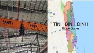 Lắp đặt cầu trục tại Bình Định