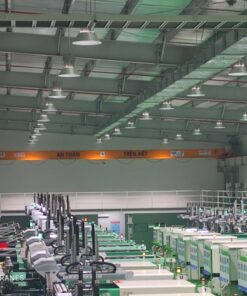 Cầu trục 1 tấn, khẩu độ 9 mét, chạy dài 50 mét 10 Cầu trục 2 tấn dầm đơn lắp đặt trong xưởng nhựa công ty TNHH Gu Vina